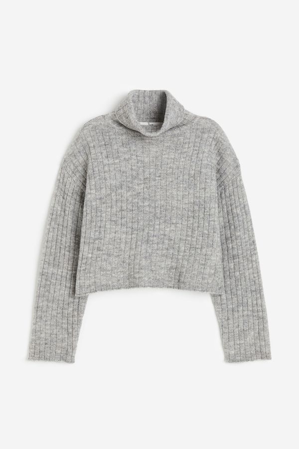 Sweater beatle