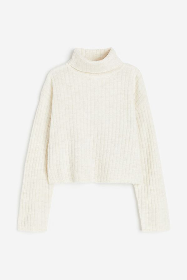 Sweater beatle