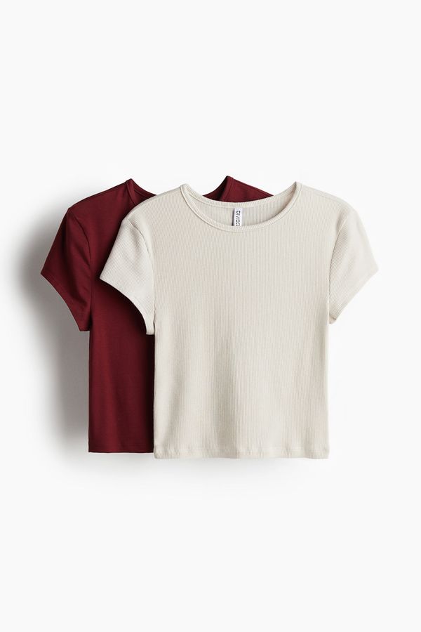 Pack de 2 poleras