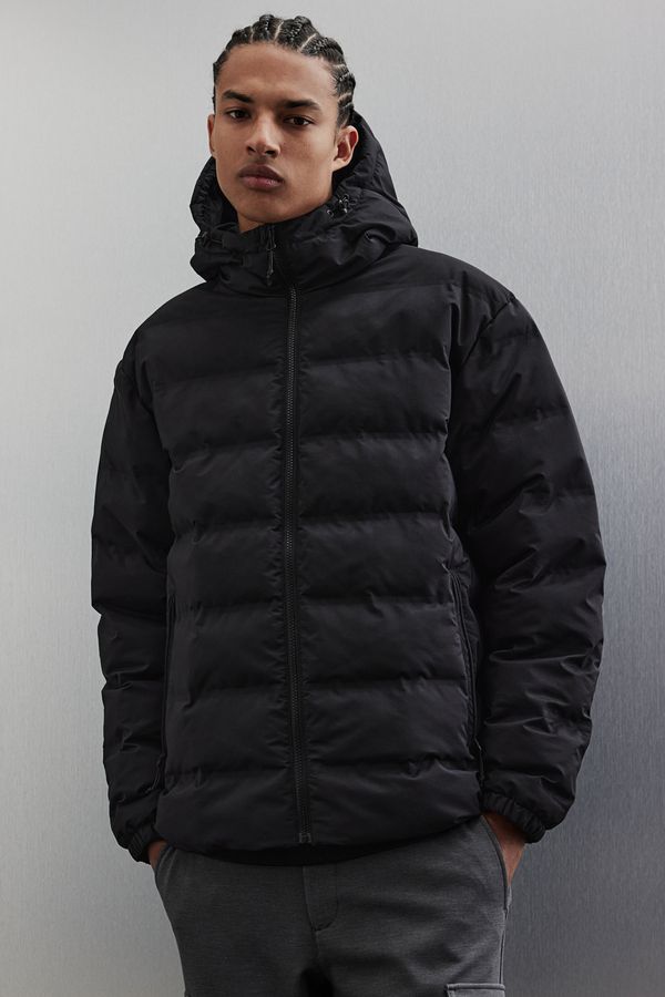 Parka puffy Regular Fit