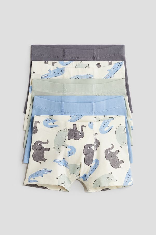 Pack de 5 boxers trunk