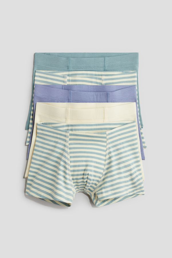 Pack de 5 boxers trunk
