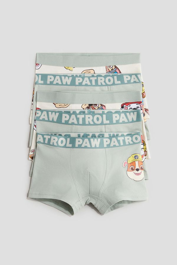 Pack de 5 boxers trunk