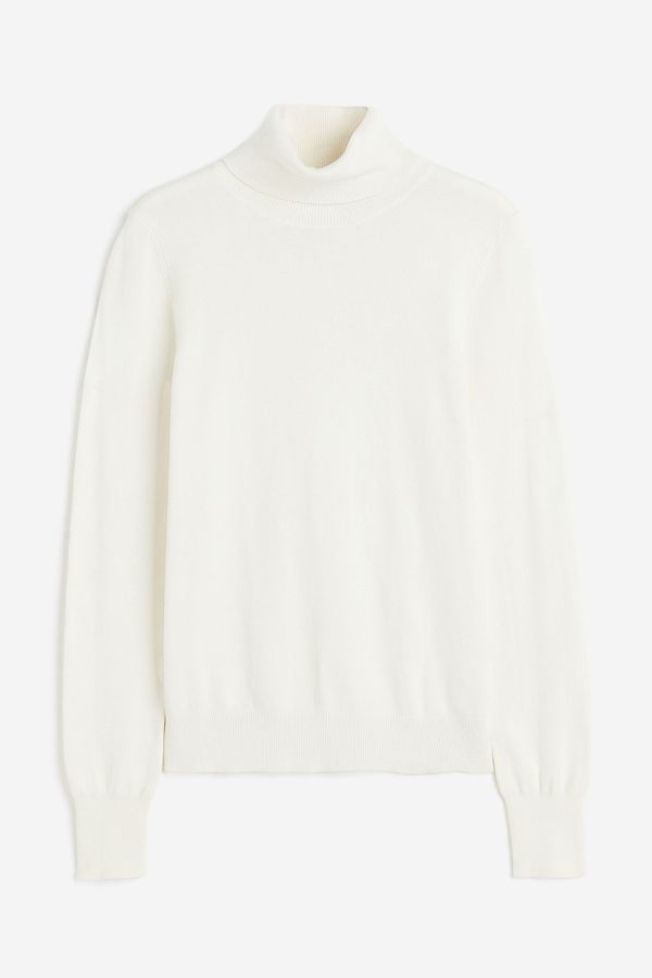 Sweater beatle