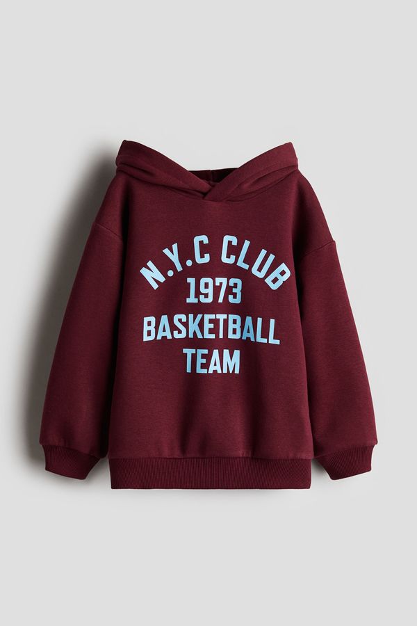 Polerón hoodie con motivo estampado